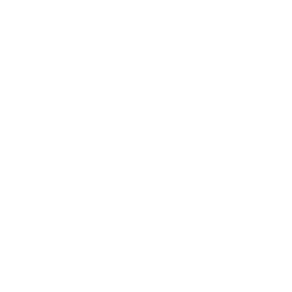 Our ideas
